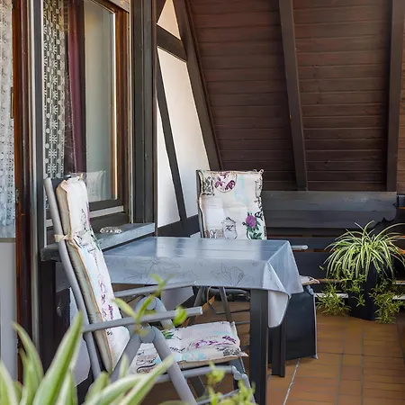 Haus Monika بيت ضيافة ساسباشفالدن