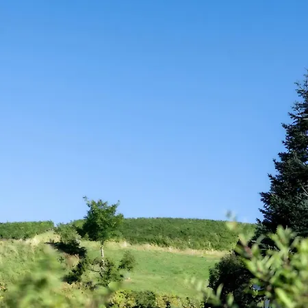 بيت ضيافة Haus Monika