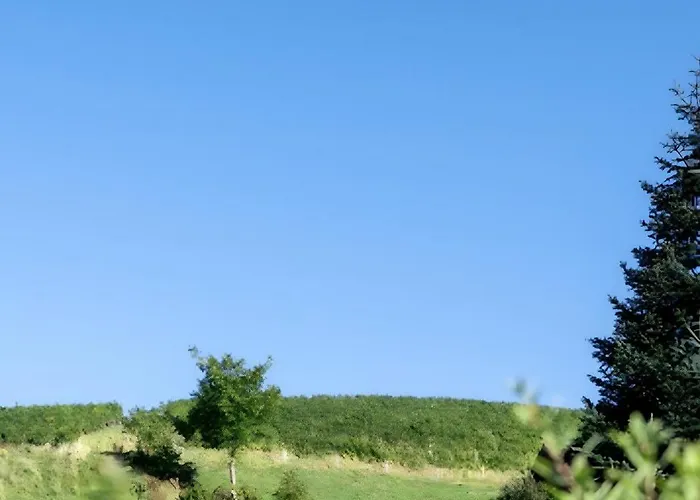 Casa de hóspedes Haus Monika